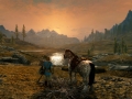 Skyrim (10)