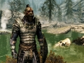 Skyrim (4)