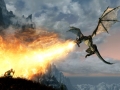 Skyrim (8)