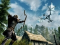 Skyrim (9)