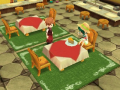 Story of Seasons (9)