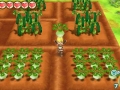 Story of Seasons Trio DLC (2)