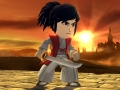 wiiu_febmiifightercostume_screen_02_bmp_jpgcopy_23694374151_o