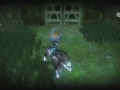 Twilight Princess HD (1)