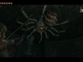 Twilight Princess HD (9)