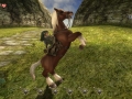 The Legend of Zelda Twilight Princess HD (8)