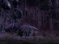 Xenoblade Chronicles X (2)