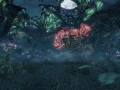 Xenoblade Chronicles X (23)