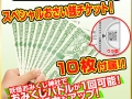 作品_形態_日にち