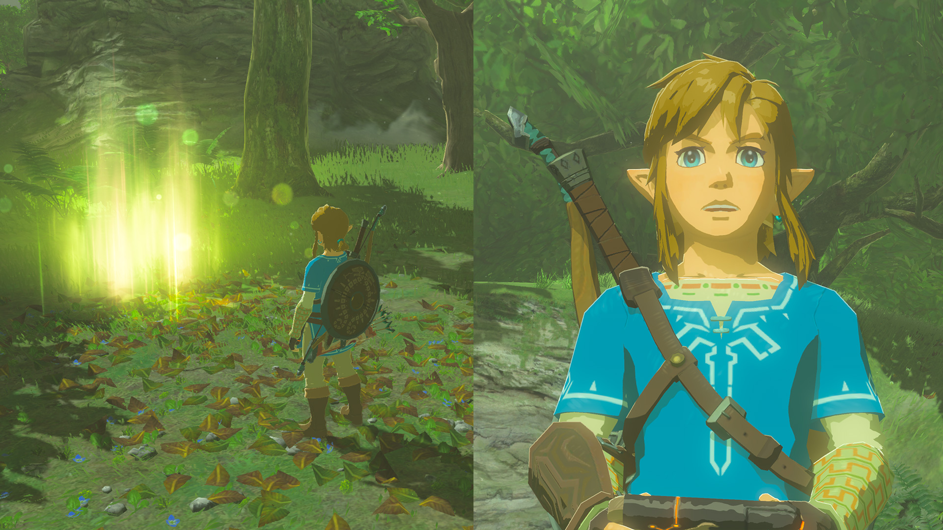 Legend Of Zelda Breath Of The Wild Memory