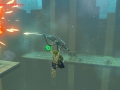 The Legend of Zelda Breath of the Wild Expansion Pass (7)