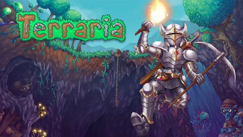 Can we add diamond armor as a vanity item to Terraria as a