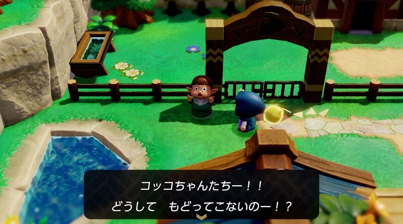 The Legend of Zelda: Echoes of Wisdom