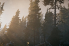 Unity
2019-06-22 , 18:01:27
Unity 2018.2.21f1 Personal (64bit) - Trailer.unity - AoF Trailer[Forest] - PC, Mac & Linux Standalone* 