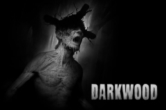 Darkwood (3)