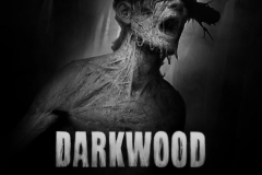 Darkwood (4)