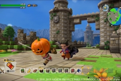 DQB2 (5)