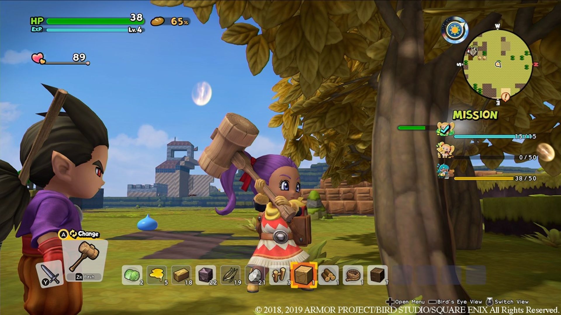 DQB2 (2)
