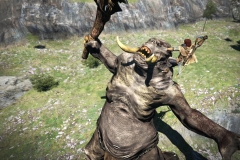 Dragon Dogma Dark Arisen (3)