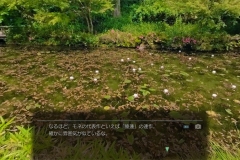 050