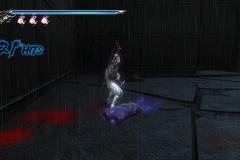 NINJA GAIDEN Σ2_20210520233937