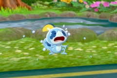 Pokemon Sword and Shield (2)