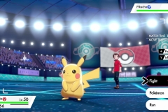 Pokemon Sword and Shield (4)
