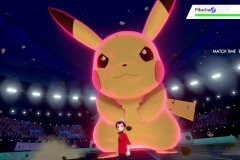 Pokemon Sword and Shield (5)