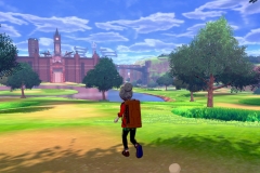 Pokemon Sword and Shield (6)