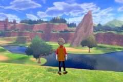 Pokemon Sword and Shield (8)