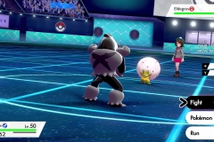 Pokemon (5)