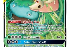 Pokemon TCG (10)