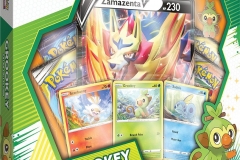 Pokemon TCG (3)