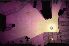 Projection-8