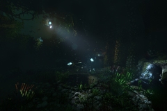 Soma-2