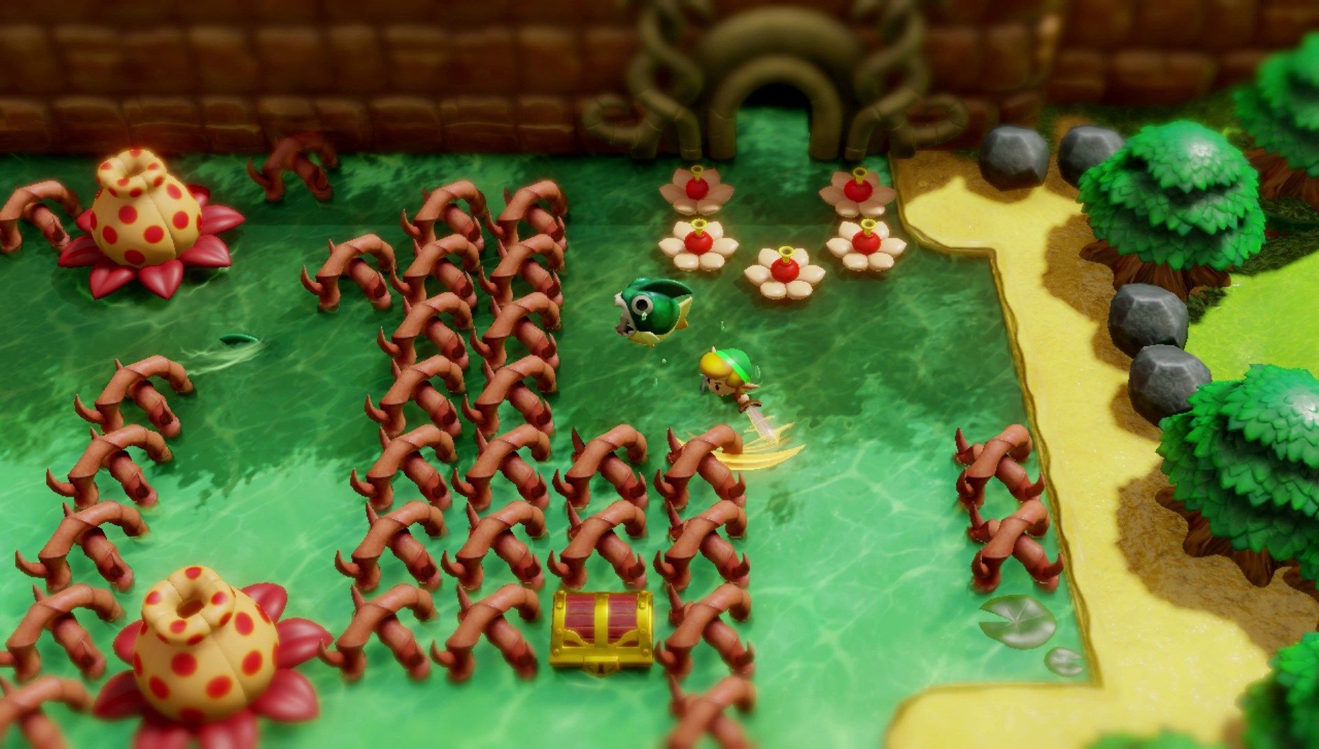 Zelda (5)