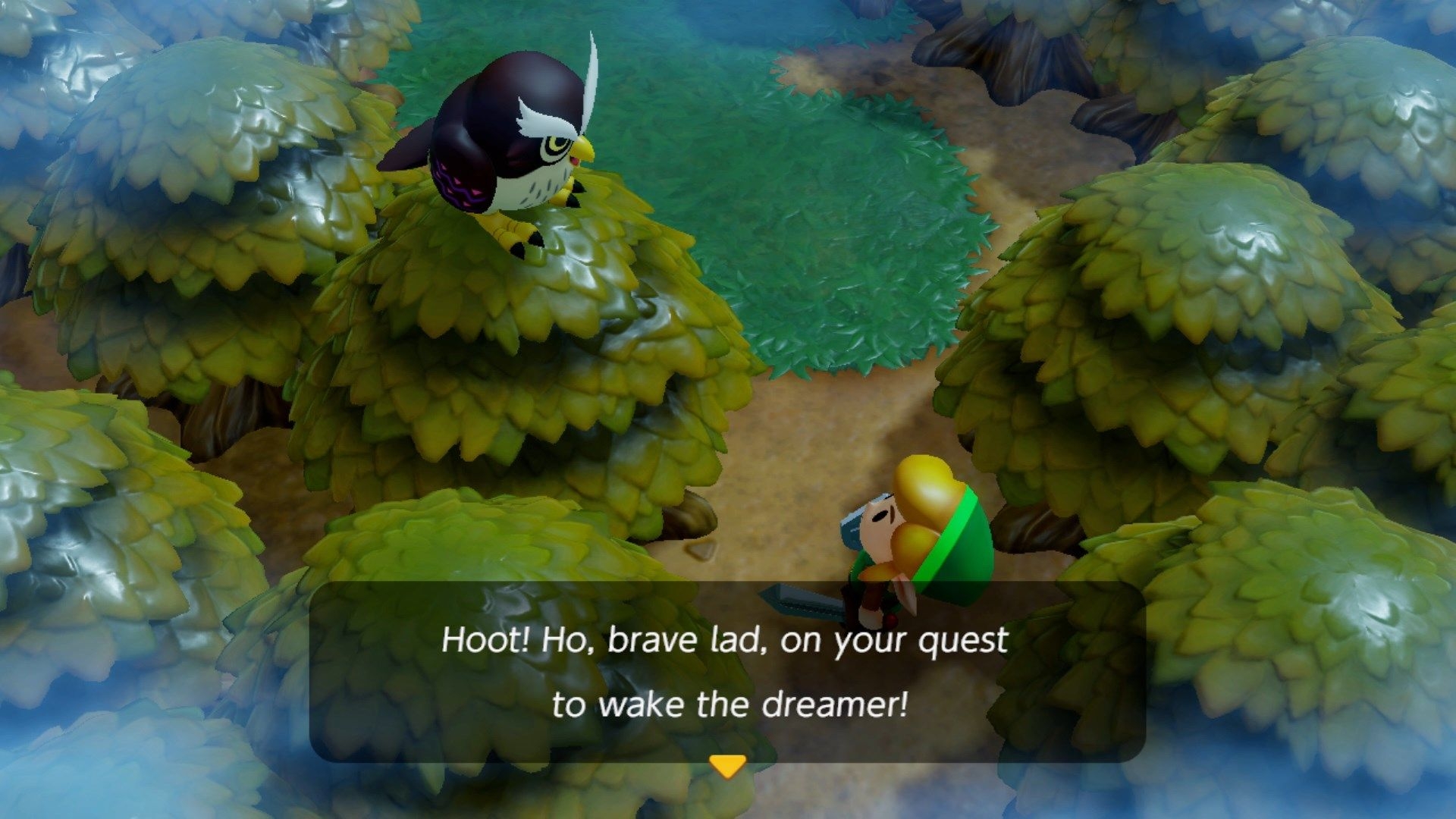 Zelda (7)