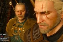 Witcher 3 (10)