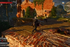 Witcher 3 (7)