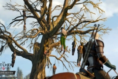 Witcher 3 (9)